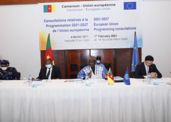 2021-2027 European Union Programming in Cameroon: Consultations with the Government