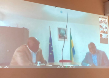 Next post-Cotonou cooperation framework: EDF units in the central African network capitalise on their experiences